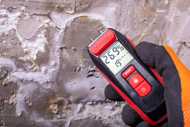 Best Affordable Mold Removal  in Baxley, GA