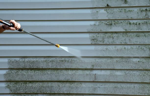 Best Attic Mold Removal  in Baxley, GA