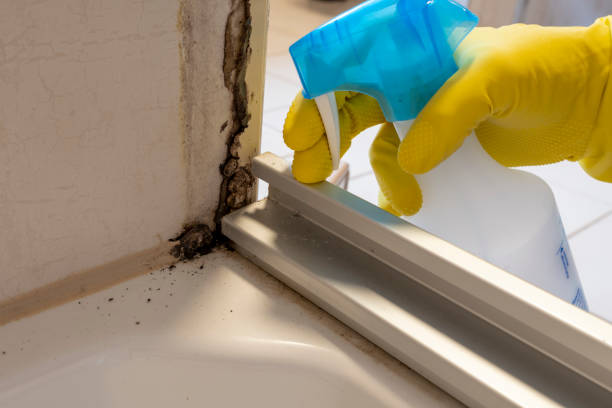 Best Fast Mold Removal  in Baxley, GA