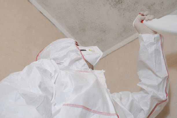 Best Certified Mold Removal  in Baxley, GA